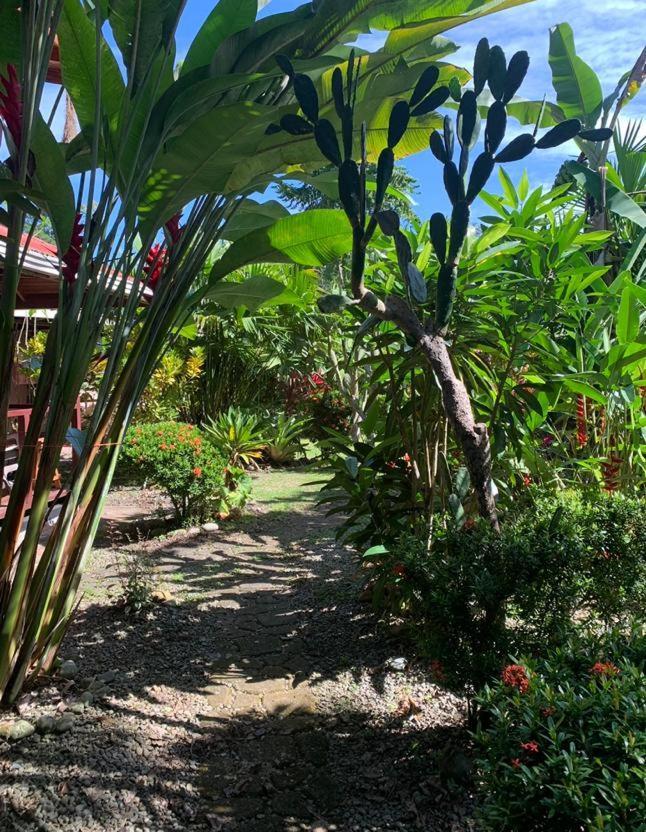 까위따 Casa Mambo B&B 외부 사진