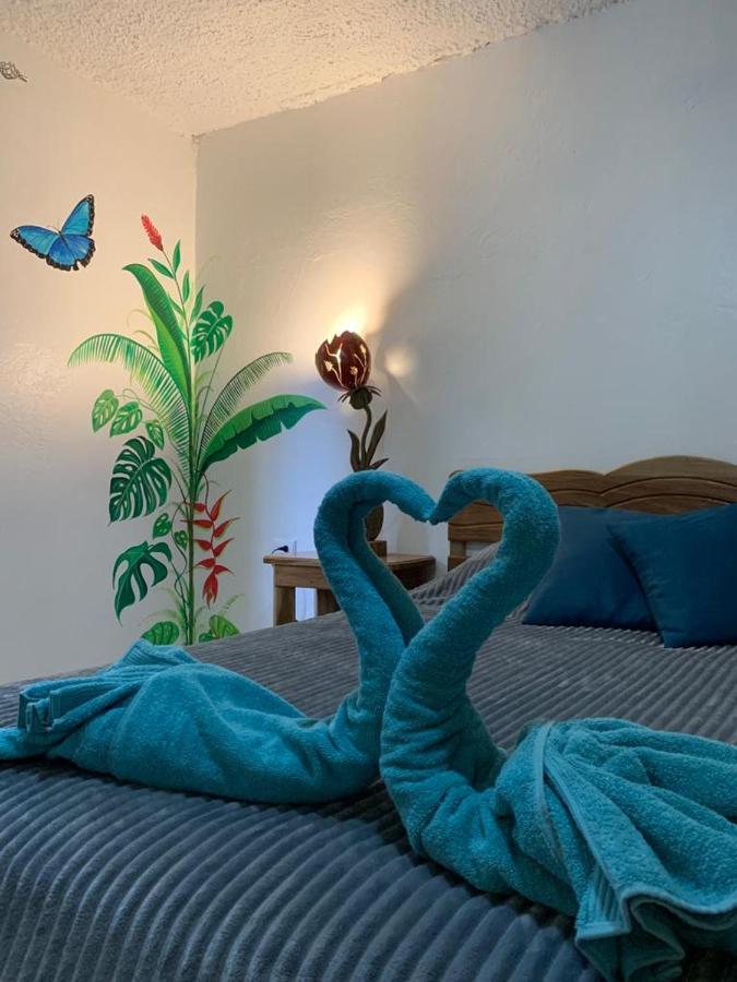 까위따 Casa Mambo B&B 외부 사진